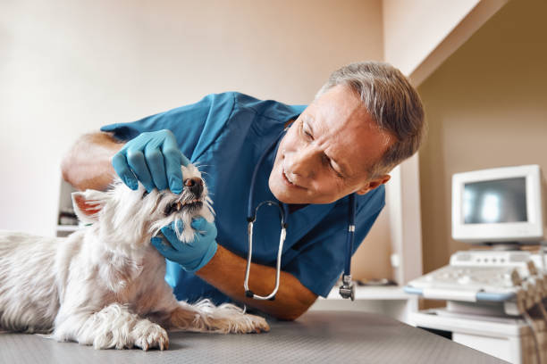 Best Emergency Treatment for Dental Infections or Abscesses in Grandview Heights, OH